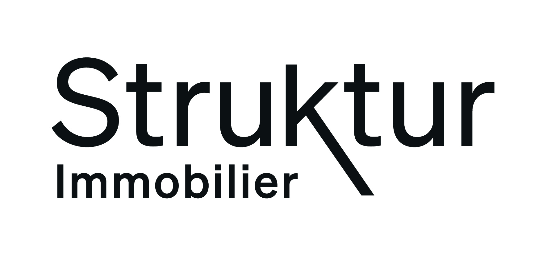 Logo Struktur Immobilier